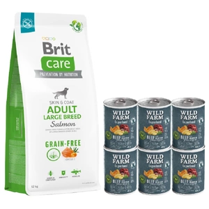 BRIT CARE Dog Grain-free Adult Large Breed Salmon 12kg