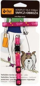 DINGO komplekt - rihm + Yorkie kaelarihm roosa