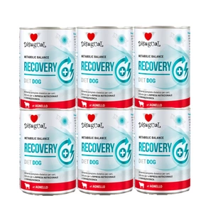 Disugual Veterinary RECOVERY Lambaliha märgtoit (täiskasvanud) 400g