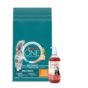 Purina One Adult Chicken & Wheat kassitoit 9,75 kg