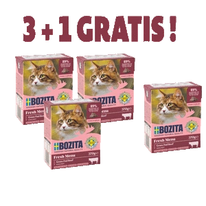 BOZITA Cat Kapota veiseliha želees 370g