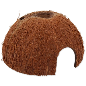 REPTI PLANET Kookospähkli L varjualune terraariumireptiloididele