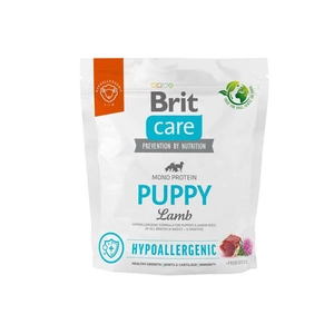 BRIT CARE hüpoallergeenne lambaliha 2x1kg