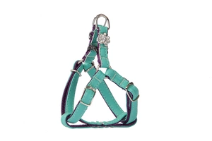 DINGO rakmed Yorkie'le "New York" - mündiroheline