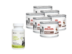 ROYAL CANIN Recovery 195g purk