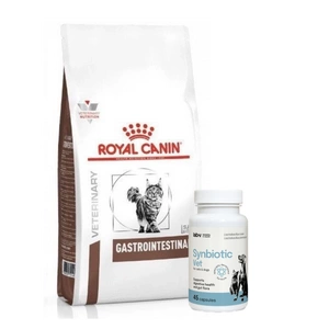 ROYAL CANIN Gastro Intestinal GI 32 4kg CAT