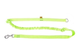 DINGO rihm jooksmiseks koos amortisaatoriga - roheline