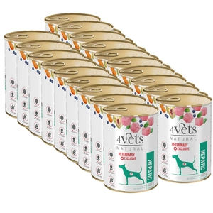 DOLINA NOTECI 4Vets koertele Hepatic 400g