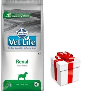 FARMINA Vet Life Dog Renal 12kg + STAIGMENA KUTSE KOERALE