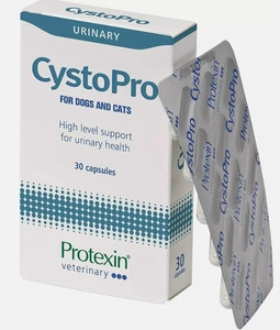 Protexin CystoPro koertele ja kassidele kuseteede jaoks 30 kapslit