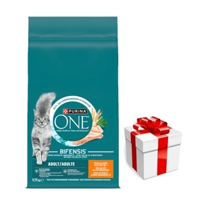 Purina One Adult Chicken & Wheat kassitoit 9,75 kg