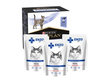 PURINA PVD FortiFlora Cat 30 kotikest + 3x ENZO VET Renal koos veiseliha želeega kassidele 100g