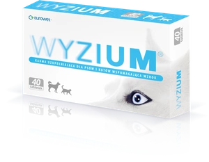 Wyzium 2x20 tabletti.