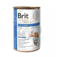 BRIT GF Veterinary Diets Recovery Salmon 400g - märgtoit koertele ja kassidele