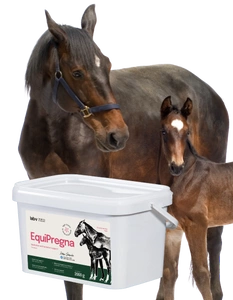 Lab-v EquiPregna - Täiendav sööt tiinetele ja lakteerivatele märadele tiinuse, loote arengu ja piimatootmise toetamiseks 2kg