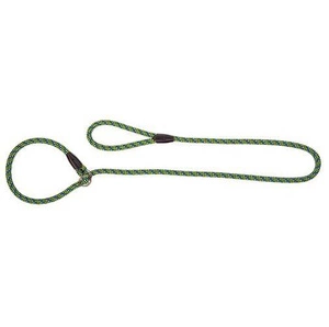 DINGO rõngas, kinnitatav koerarihm koos nööriga MAGIC - roheline-sinine