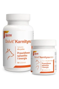 Dolvit Carnitine 90 tab.