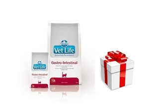 FARMINA Vet Life Cat Gastrointestinal 5kg + STAIGMENA KATEI