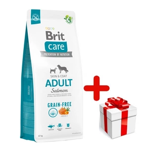 BRIT CARE teraviljavaba täiskasvanud lõhe 12kg + STAGMENT KOERALE