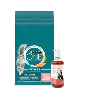 Purina One Adult Salmon & Wheat kassitoit 9,75 kg