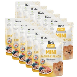 Brit Care Mini küüliku- ja lõhefilee kastmes 85g