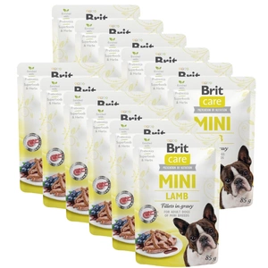 Brit Care Mini Lambafilee kastmes 85g
