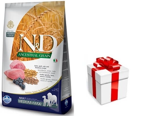 Farmina N&amp;D LAMB BLUEBERRY MEDIUM MAXI 12kg + STAIGMENA KOERALE