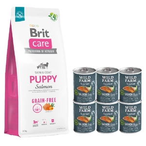 BRIT CARE Dog Grain-free Puppy Salmon 12kg