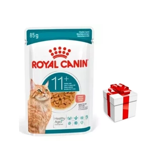 ROYAL CANIN niiske kassitoit, Senior Ageing 11+, kaste12x85g