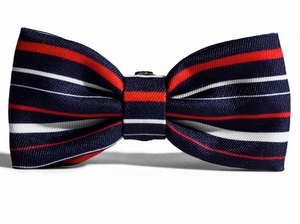 ZEE DOG Rocket suur koerakärbes