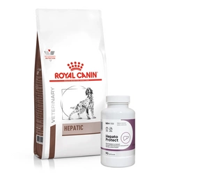 ROYAL CANIN Hepatic HF 16 12kg