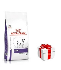 Royal Canin Adult Small Dog 4kg + koeratoit
