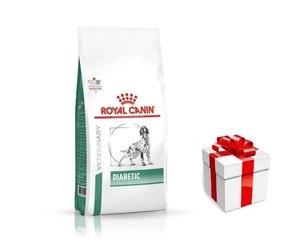ROYAL CANIN Diabeetiline DS 37 12kg + STAIGMENA KUTSE KOERTELE