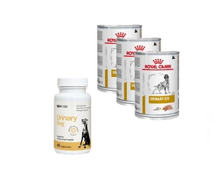 ROYAL CANIN Urinary S/O 410g purk