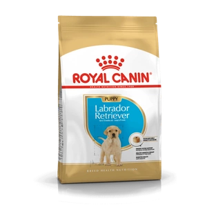 ROYAL CANIN Labrador Retriiver Puppy 12kg + koeratoit