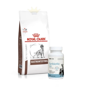 ROYAL CANIN Gastro Intestinal GI25 15kg DOG