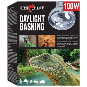 REPTI PLANET päevane sõidutuli 100W