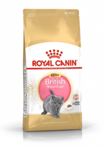 ROYAL CANIN British Shorthair Kitten 2kg kuivtoit kassipoegadele, kuni 12 kuud, briti lühikarvaline tõug