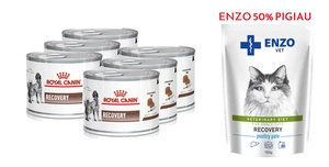 ROYAL CANIN Recovery 6x195g purk + 50% MAHA ENZO VET Recovery kassidele 100g