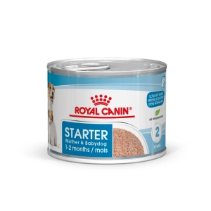 ROYAL CANIN Starter Mousse Mother&Babydog 24x195g