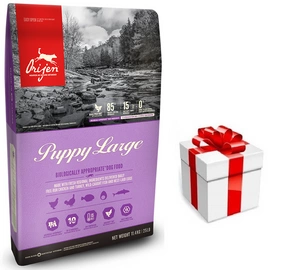 ORIJEN Koerakutsikas Large 11,4kg