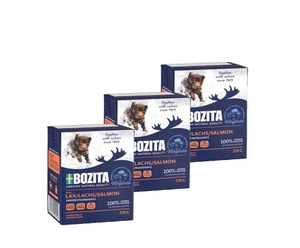 Bozita Dog Naturals : Lõhe želees 370g