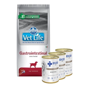 FARMINA Vet Life koera gastrointestinaalne 12kg